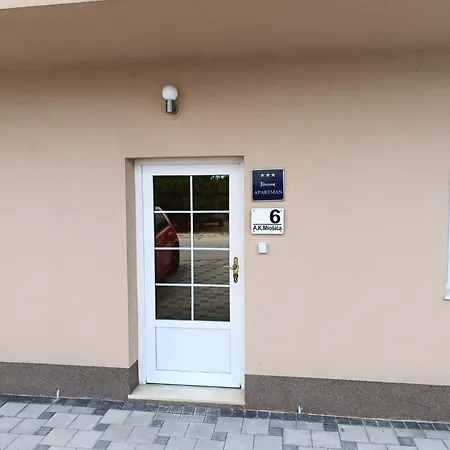 Viola Apartment